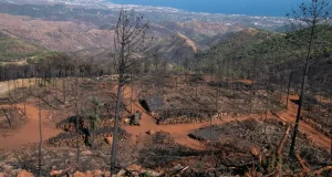 Una consecuencia inesperada del incendio de Sierra Bermeja: triplica la superficie inundable de Málaga