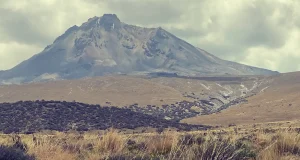 Los suelos, víctimas olvidadas de los incendios en las regiones más áridas del planeta
