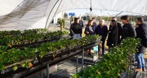 La UHU incorpora un equipamiento de riego en la nueva planta experimental de Ciencias Agroforestales