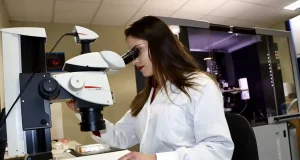 Andalucía cuenta con la mayor plantilla investigadora de su historia: más de 33.000 científicos
