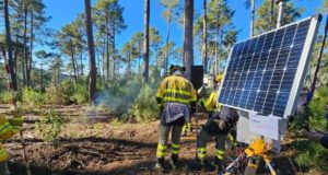 Nuevos sensores microelectrónicos destinados a la detección temprana de incendios