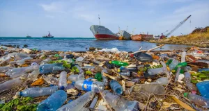 Basura marina: las campañas actuales no reflejan ni de lejos lo que hay en el océano