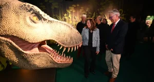 ‘Cazadores de dragones’, un viaje al mundo de los dinosaurios desde el Parque de las Ciencias de Granada
