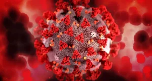 Cangrejos y camarones, de suculento a manjar a la base de nuevos antivirales contra la Covid-19
