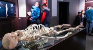 La doble historia del cuerpo humano, al descubierto en una obra divulgativa de la UMA