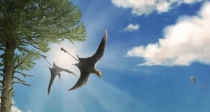El excepcional descubrimiento en Teruel: más de 40 nuevos fósiles de un dinosaurio volador