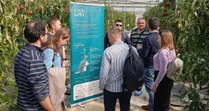 La Cátedra UAL-Coexphal muestra a la FAO su contribución a la digitalización del sector agrícola