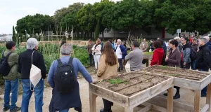 Gestores y usuarios se dan cita en la UMA en un encuentro sobre los huertos sociales de Andalucía
