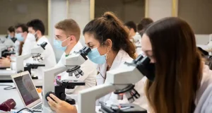 Las universidades andaluzas impartirán 22 nuevos títulos internacionales a partir del curso 2025/2026
