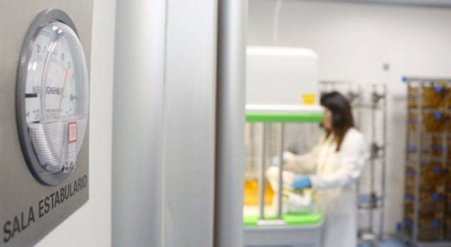 Másteres de la Universidad de Burgos 2026: pasaporte para el empleo