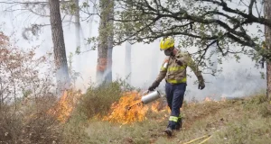 Nuevos sensores miden en tiempo real la exposición de los bomberos a aerosoles tóxicos