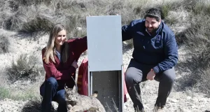 Reintroducir especies como lince ibérico, el quebrantahuesos y el pigargo europeo deben integrarse en estrategias amplias de conservación