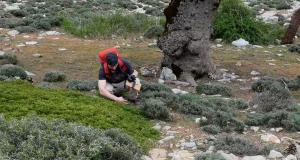 Nueva clasificación de los ecosistemas de la Sierra de las Nieves: identifican 122 comunidades vegetales