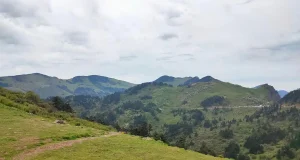 Las variaciones en las temperaturas rompen el equilibrio de los ecosistemas de montaña