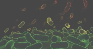 Las bacterias se reparten el trabajo para debilitar a las plantas: abre nuevas vías para protegerlas