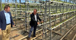 La Región de Murcia y Cajamar colaboran en la digitalización del sector agro