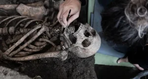 La UGR halla una nueva fosa común en el Barranco de Víznar