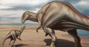 Descubierto un nuevo dinosaurio del Jurásico en Portugal