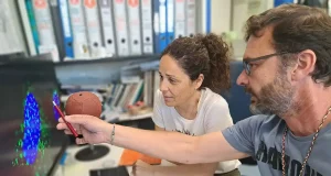 Identifican una molécula que podrá ser clave en el desarrollo de nuevos antivirales