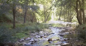 Otro proceso que acelerará el cambio climático y que afecta a la salud de los ríos