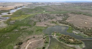 ¿Qué aporta la filosofía de Hegel al medio ambiente? El CSIC une filosofía y ecología en un método novedoso