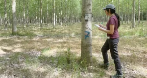Los mejores trabajos de máster sobre ciencias forestales se van a Madrid y a León
