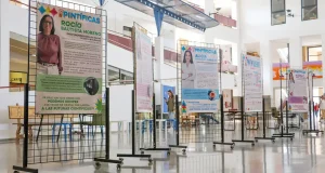 Pintíficas, la exposición de la UMA que reúne las investigaciones presentadas en los bares