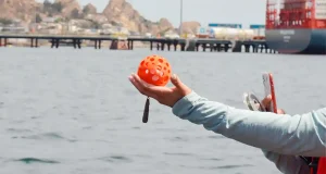Nueva forma de estudiar la biodiversidad marina sin tener que capturar peces