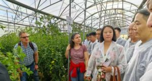 La UAL figura otro año entre las mejores del mundo en Enfermería y Agricultura según el ranquin de Shanghai