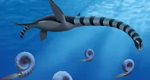 Un nuevo tipo de dinosaurio marino: era un monstruo de doce metros que vivió hace 85 millones de años