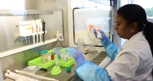 Un colágeno sintético abre nuevas vías para la medicina regenerativa