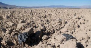 Estudian qué bacterias que se podrían comer los plásticos agrícolas