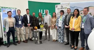 Restos de olivar, convertidos en materiales plásticos de nueva generación