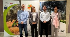 El primer concurso del mundo que premia el aceite de oliva y el suelo de cultivo