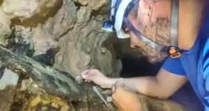 Las cochinillas desconocidas para la ciencia que han aparecido en un acueducto romano de Sevilla