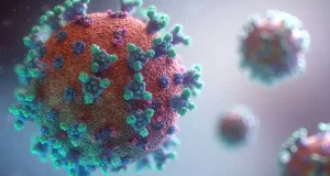 Nuevos datos sobre la evolución de los virus: ajustan sus transformaciones genéticas en tiempo real