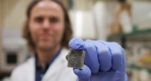 Nuevo material hecho con algas: genera electricidad y previene incendios