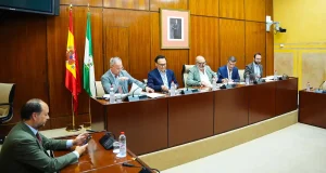 La Junta esgrime «cuestiones técnicas» para el rechazo a Inteligencia Artificial e Ingeniería Biomédica