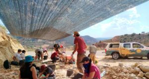 El curso que consolida Teruel como una referencia en el estudio de los dinosaurios