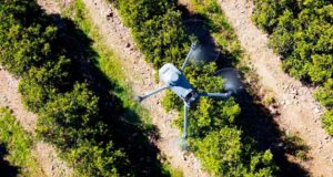 Consiguen ahorrar entre un 10 y un 15 por ciento de agua en cultivos con una nueva herramienta tecnológica