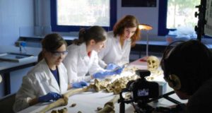 Notas de corte de la Universidad Autónoma de Madrid 2025: Informática y Matemáticas y Medicina las más altas