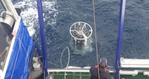 Última entrega de la ‘trilogía’ sobre las corrientes de Baleares: obliga a replantear la circulación marina
