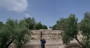 Retoman las excavaciones arqueológicas en yacimientos romanos de Úbeda la Vieja y Baeza
