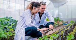 Cajamar, UJA y UCO crean una guía de sostenibilidad dirigida a pymes agroalimentarias