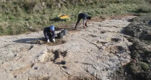 Salen a la luz más de 250 nuevas huellas de dinosaurio en Teruel: algunas son excepcionales