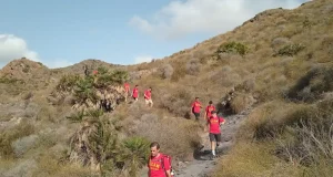 Deporte, voluntariado e idiomas protagonistas de los campus de verano de la UCAM
