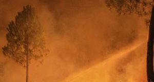 Incendios forestales: la herramienta de gestión de la naturaleza que se ha desbocado con el cambio global
