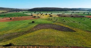 Evidencia científica para que la futura PAC refuerce la resiliencia del sector agrario español