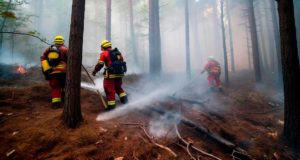 Unas microcápsulas con residuos y CO2 mejorarán la eficacia en la extinción de incendios