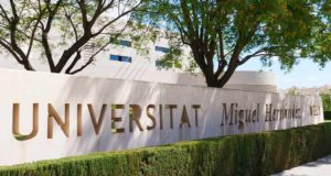 Este sigue siendo el grado universitario con la nota de corte más alta de la provincia de Alicante